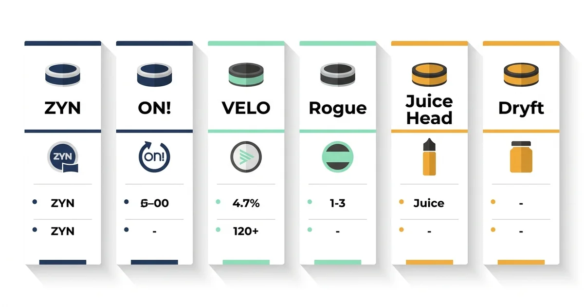 Best Nicotine Pouches in 2026: Top Brands Ranked